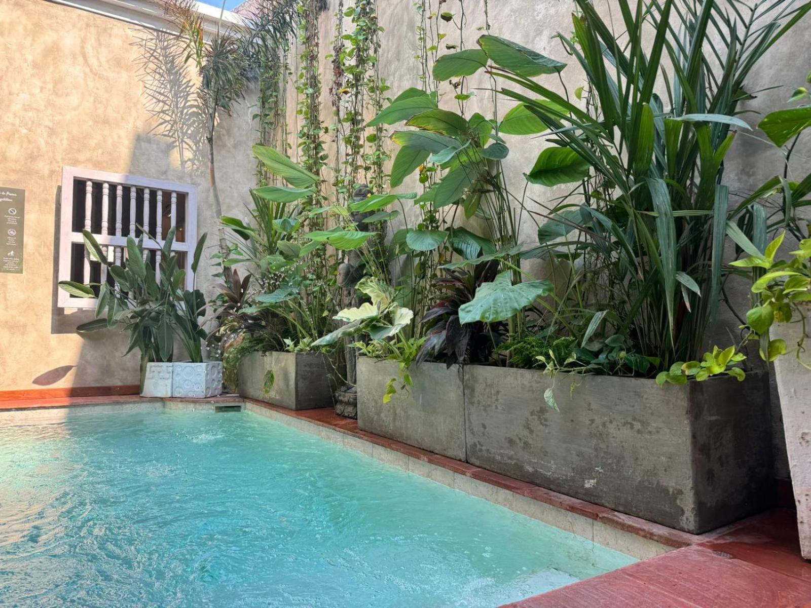 Moet Cartagena Hotel Boutique Adutls Only Exteriör bild